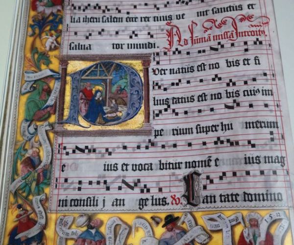 Una storia ordinata: il Cantico uno e trino di Francesco